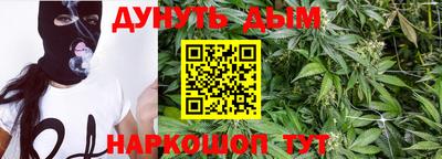 шишки Донской