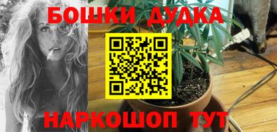 шишки Донской